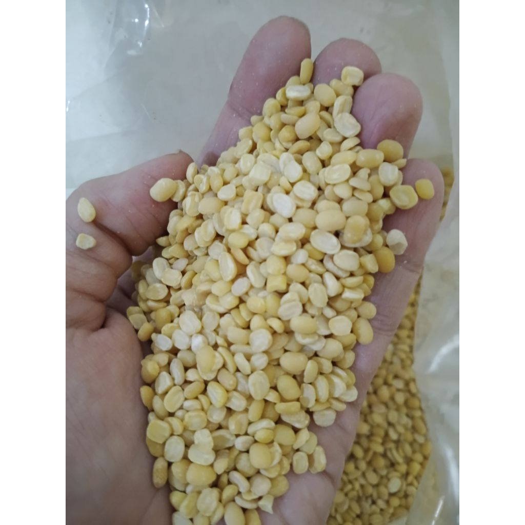 

Kacang Hijau Kupas - 5 kg & 25 kg