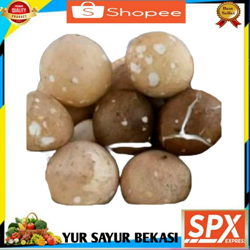 

Kelapa Bulat Utuh Perbiji.