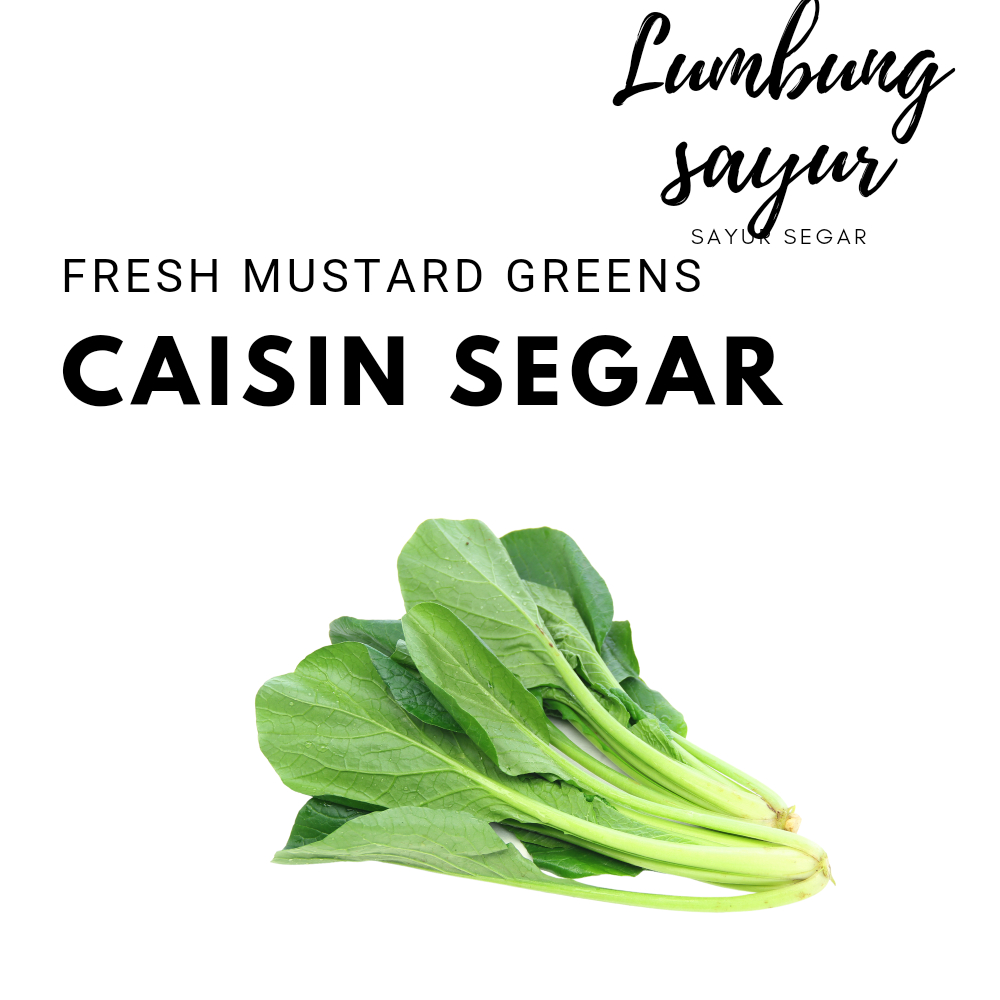 

Sayur Lumbung - Caisin / Caisim Segar / Sayuran Segar 1 Ikat