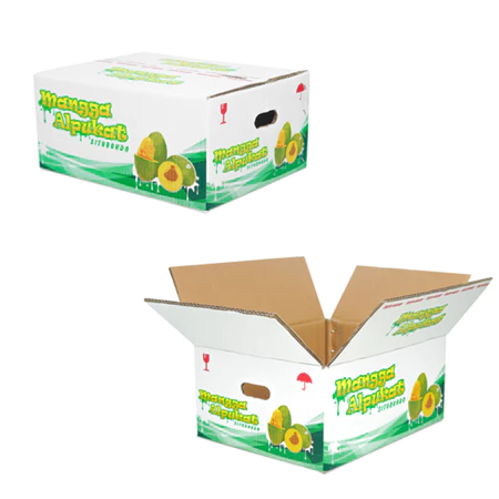 

Box Mangga Isi 12 Buah 5Kg Sekat Klonal Alpukat