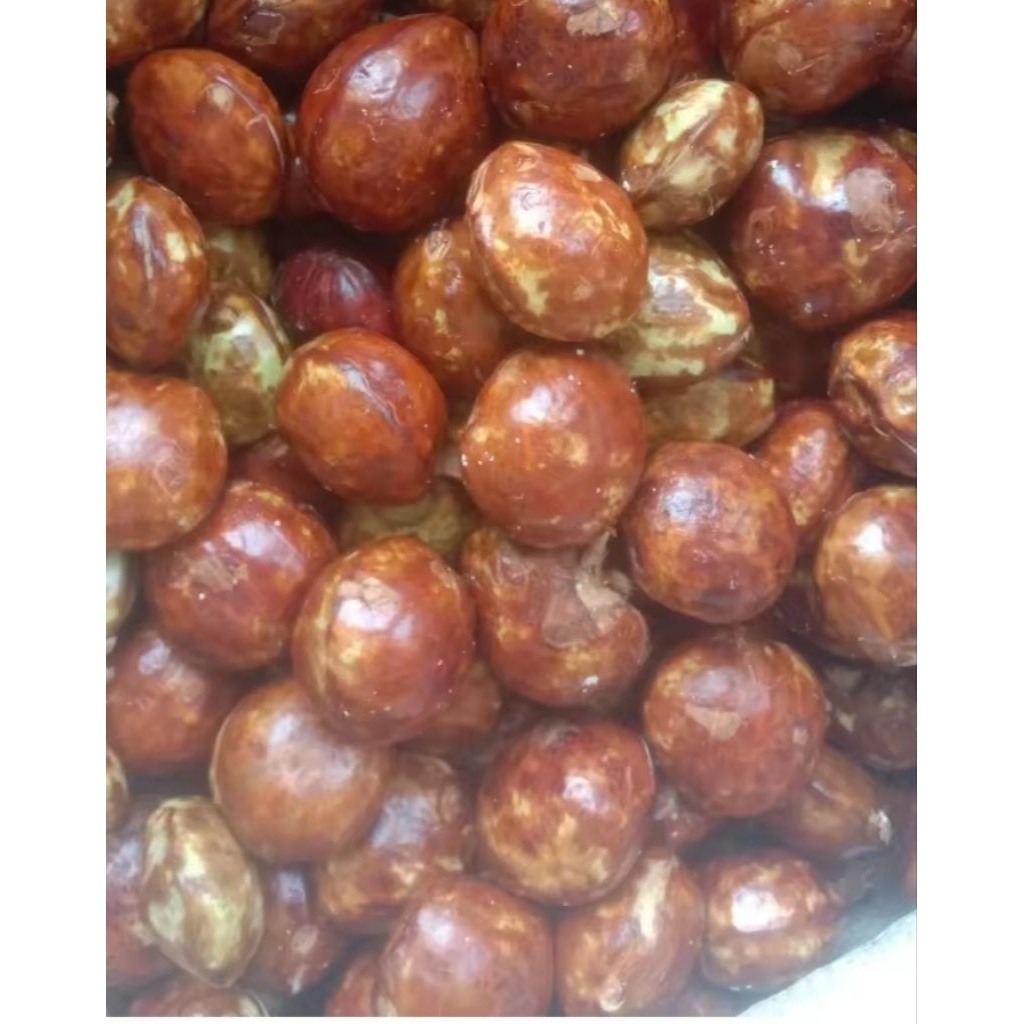 

jengkol tua super pulen bukan rendaman