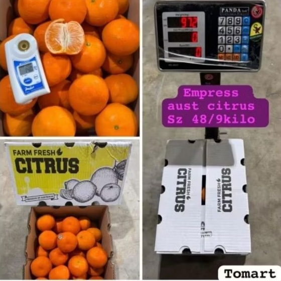 

jeruk manis legit super segar