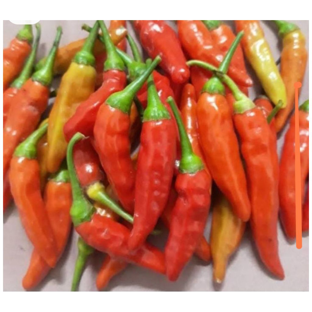 

cabe rawit merah 500gram