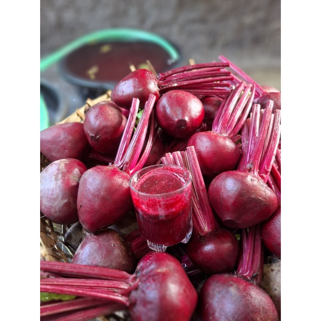 

Buah bit / beet root 1kg fresh