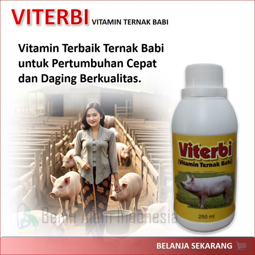 VITERBI / vitamin ternak babi / suplemen babi cepat besar / vitamin penggemuk babi / pakan babi berk