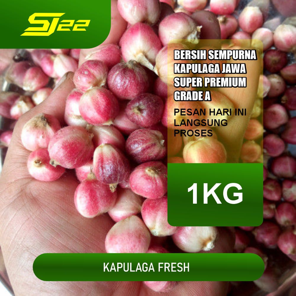 

Buah Kapulaga Segar/Basah 1KG