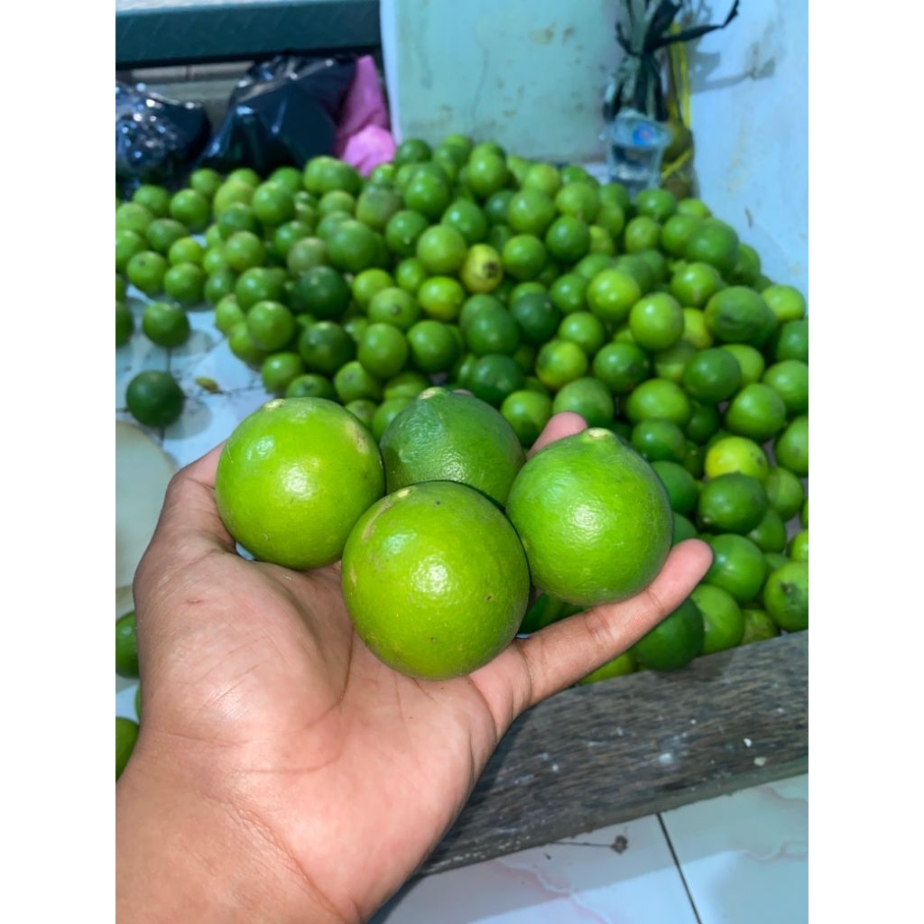 

Jeruk nipis 500gr fresh langsung dari kebun