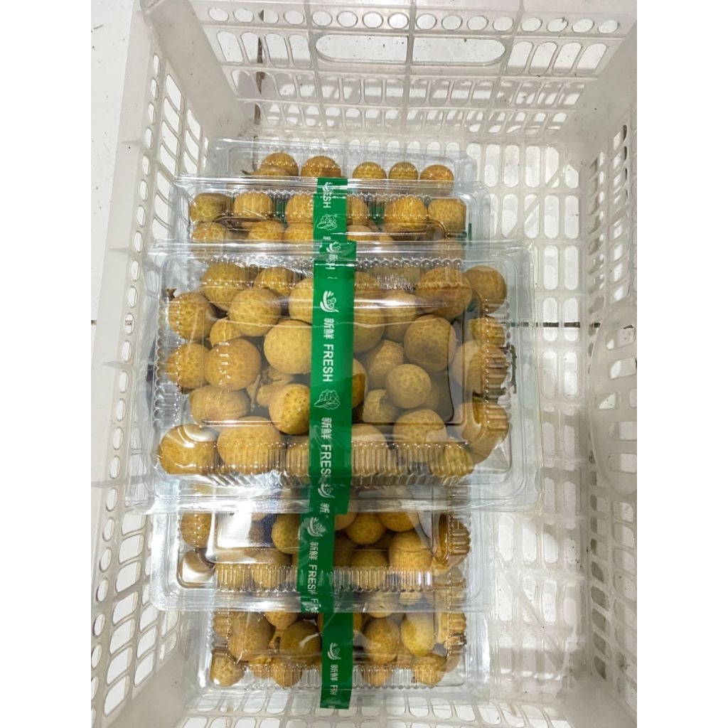 

Klengkeng thailand daging tebal (Fresh) 500gr