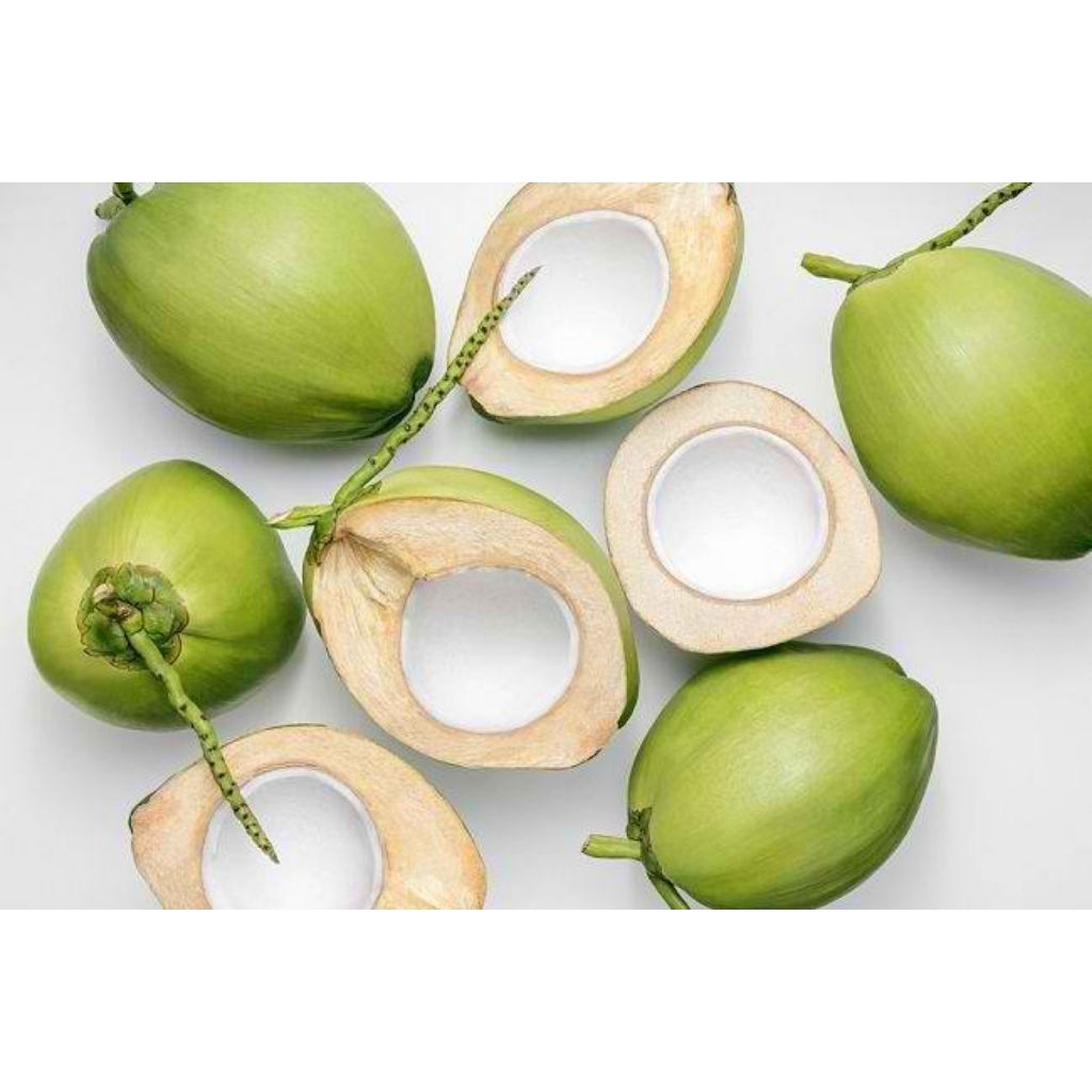 

kelapa muda utuh fresh 1 butir