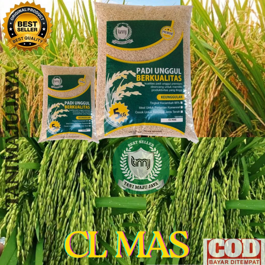 SUPER PROMO 10 KG BIBIT PADI BENIH PADI UNGGUL VARIETAS MR 219 KEMASAN 5 KG