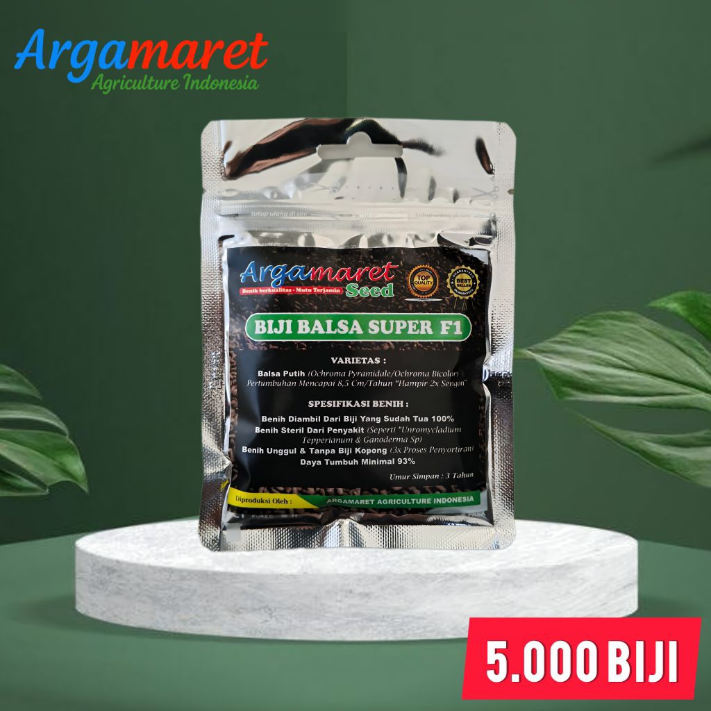 Biji Balsa Super F1 Unggul untuk Kayu Balsa Putih