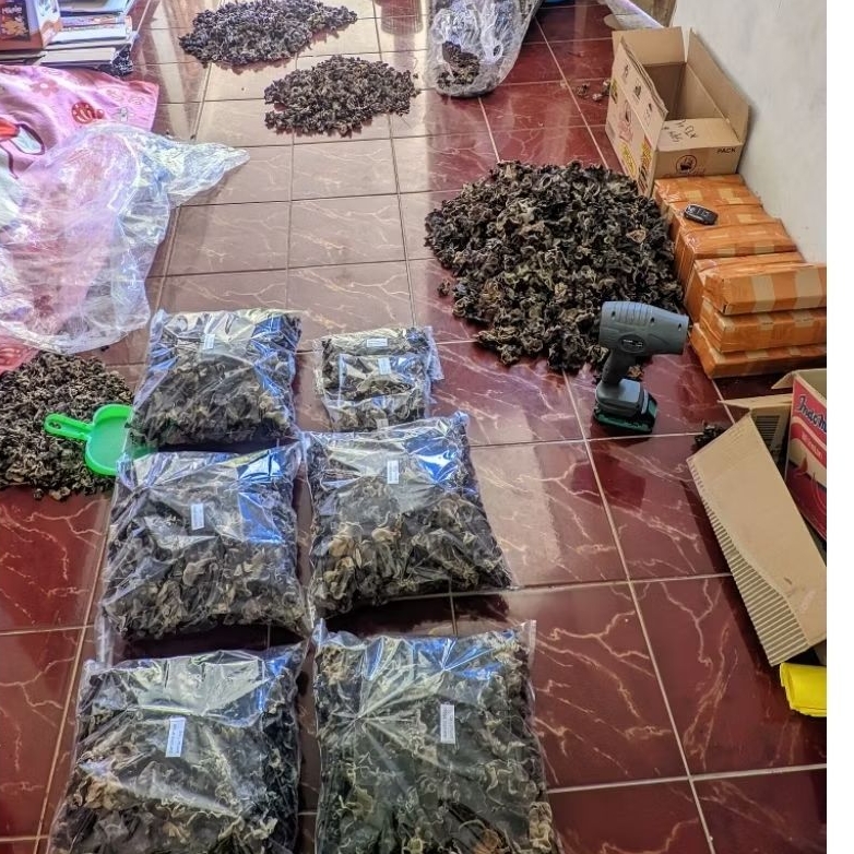 

jamur kuping 1kg kering daun kecil gratis ongkir murah