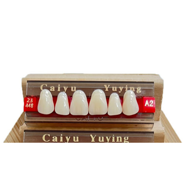 CAIYU gigi palsu komposit gigi sintetis Resin akrilik dua lapis untuk gigi atas depan