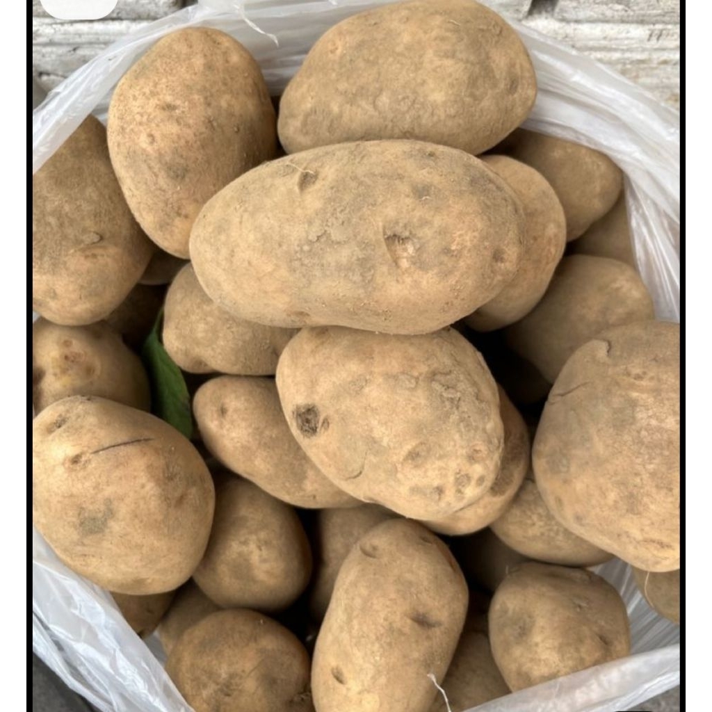 

Sayuran Kentang Fresh 2 kg _Sayuran petani pangalengan