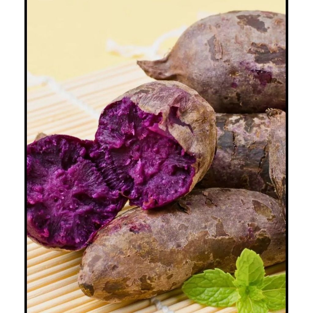 

Ubi Ungu Murasaki berkualitas 1kg ubi fresh sehat