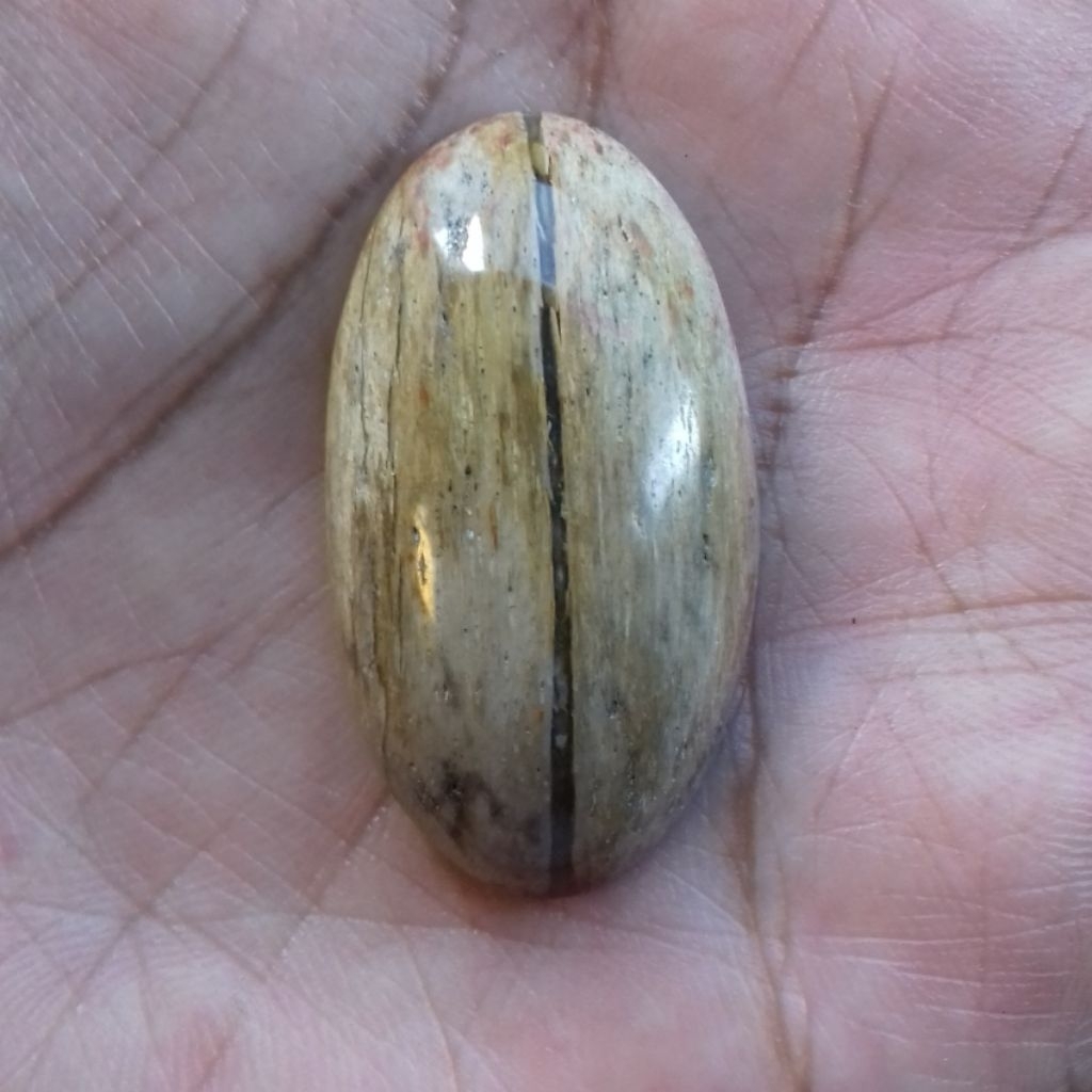 Batu Natural Fosil Galih Kelor Kendit Tembus Jumbo