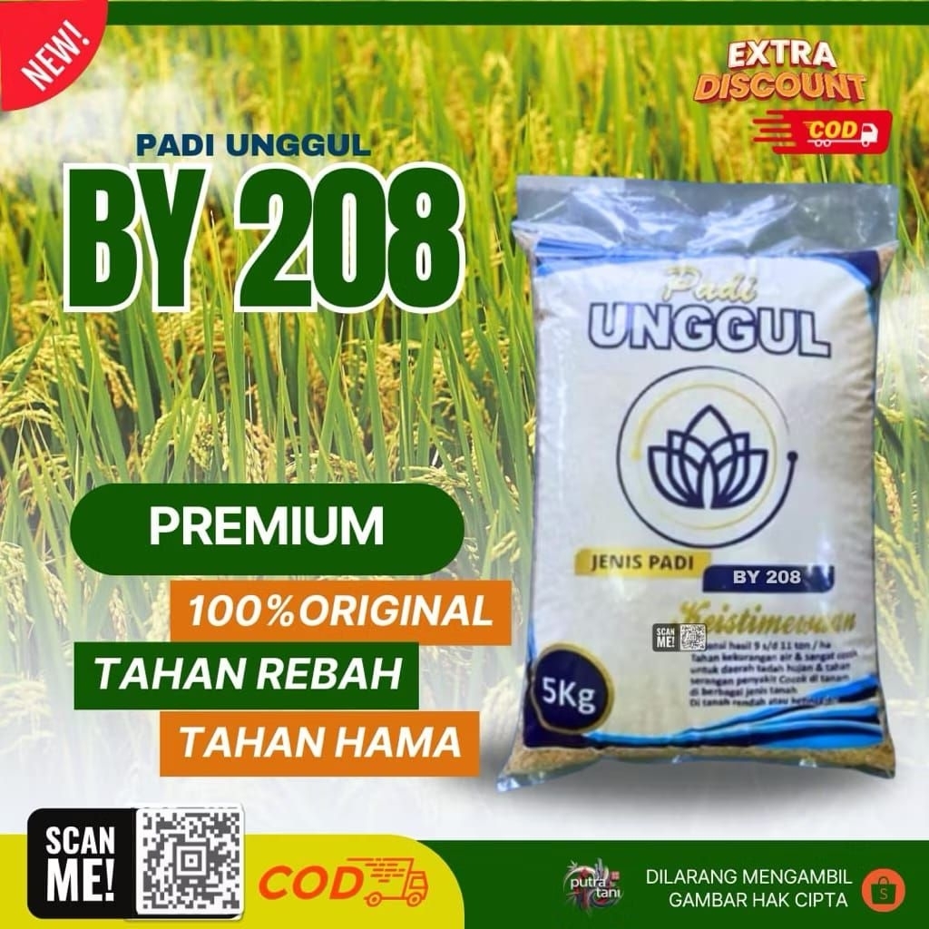 padi galur unggul BY 208 kemasan 5kg