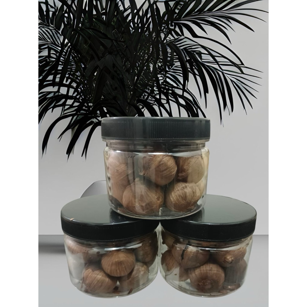 

Bawang hitam tunggal premuim // Black Garlic // Black Garlic Premium