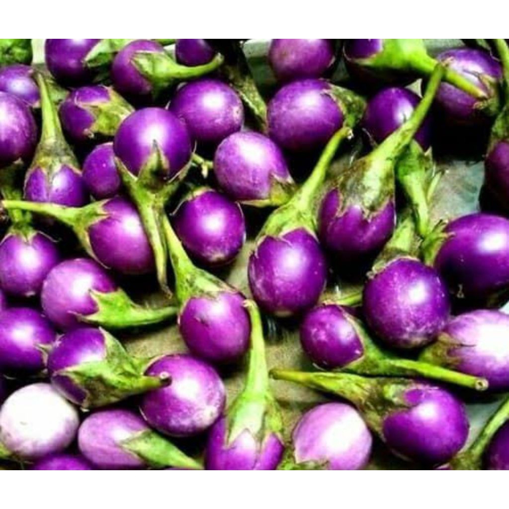 

Terong bulat ungu lalapan 500gram