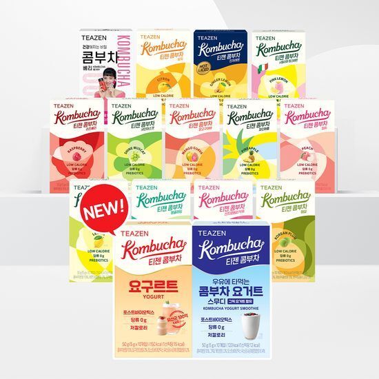 

TEAZEN kombucha tea 10T