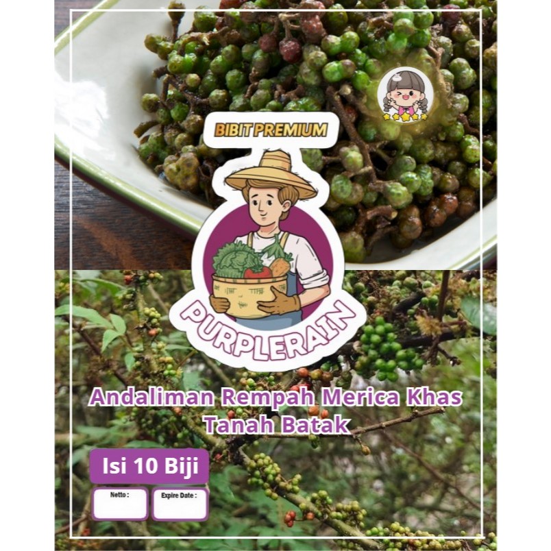 Bibit Premium Andaliman Rempah Merica Khas Tanah Batak | Biji Benih Andaliman Rempah Merica | Andali