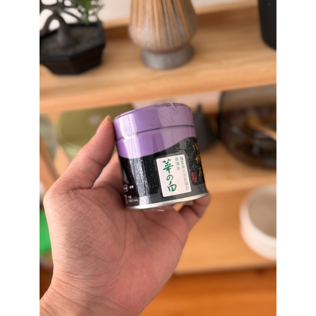 

Kanbayashi Shunso Hana no shiro Matcha