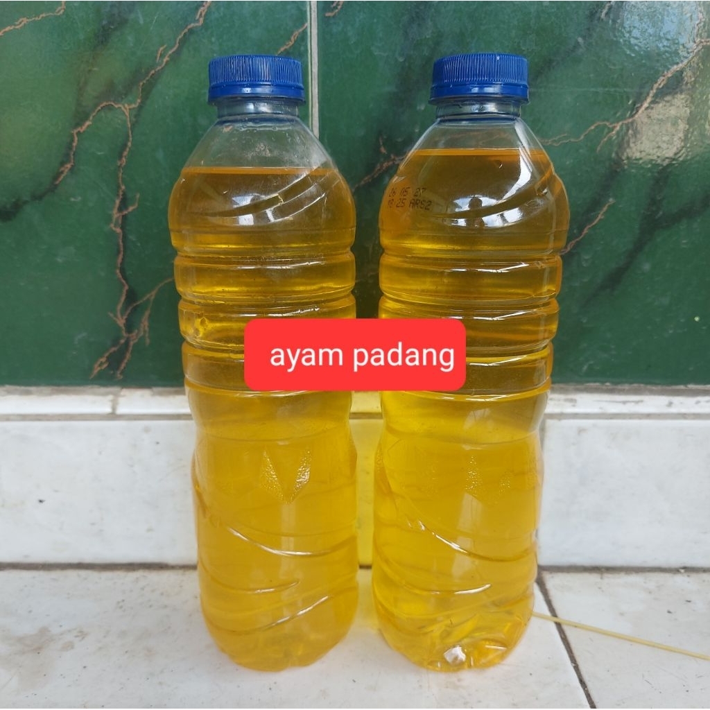 

minyak ayam kampung murni tampa campuran jaminan halal