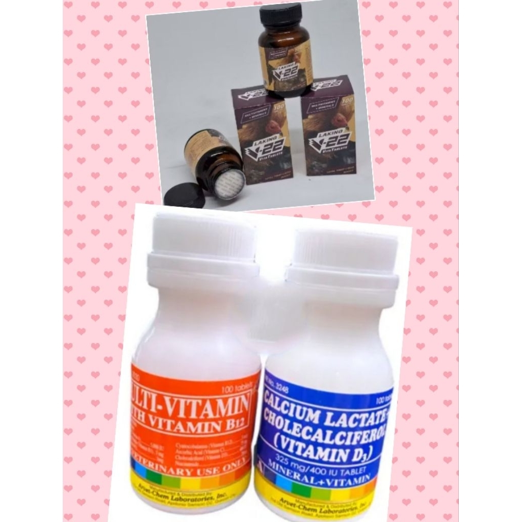 CALCIUM LACTATE/MULTIVITAMIN/V-22 BELMAN PAKET RAWATAN AYAM PILIPHINS/AYAM BANGKOK