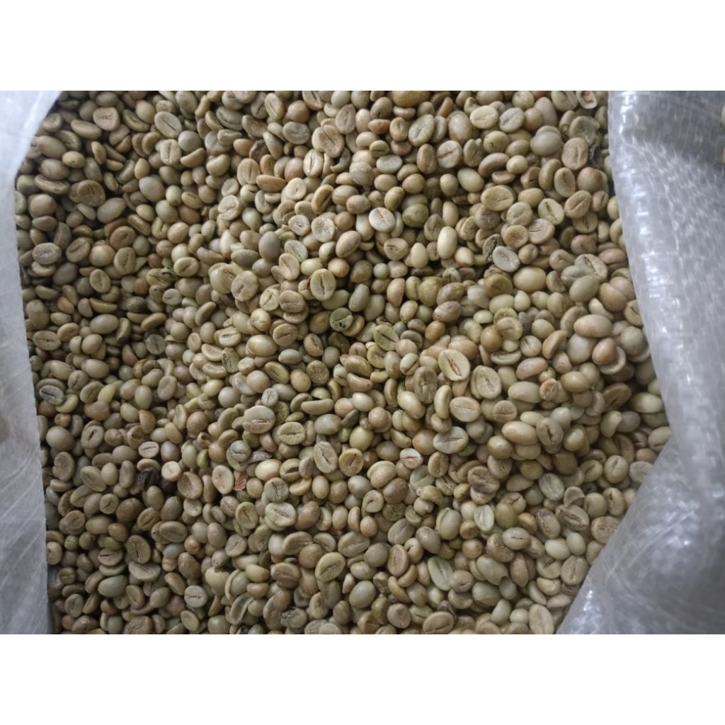 

kopi robusta grade A