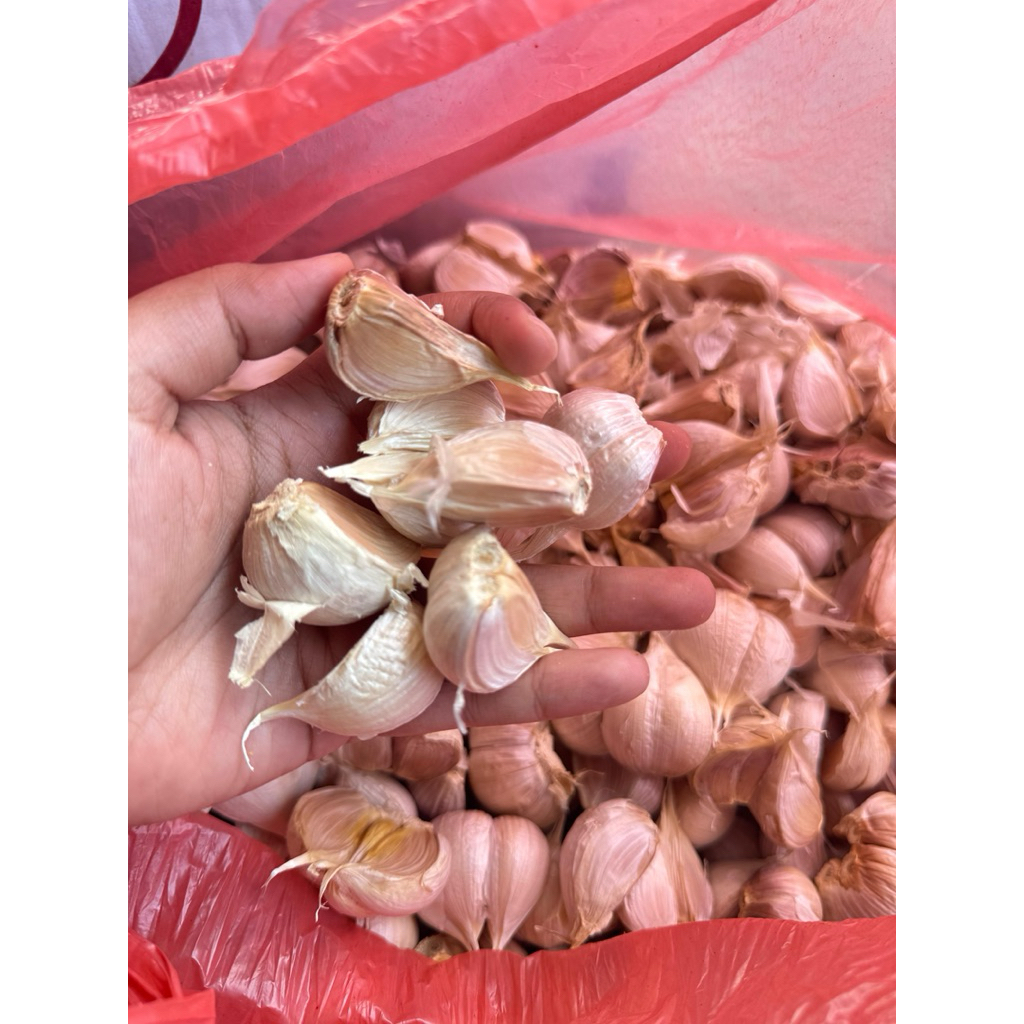 

Bawang Putih Kating 250 Gram