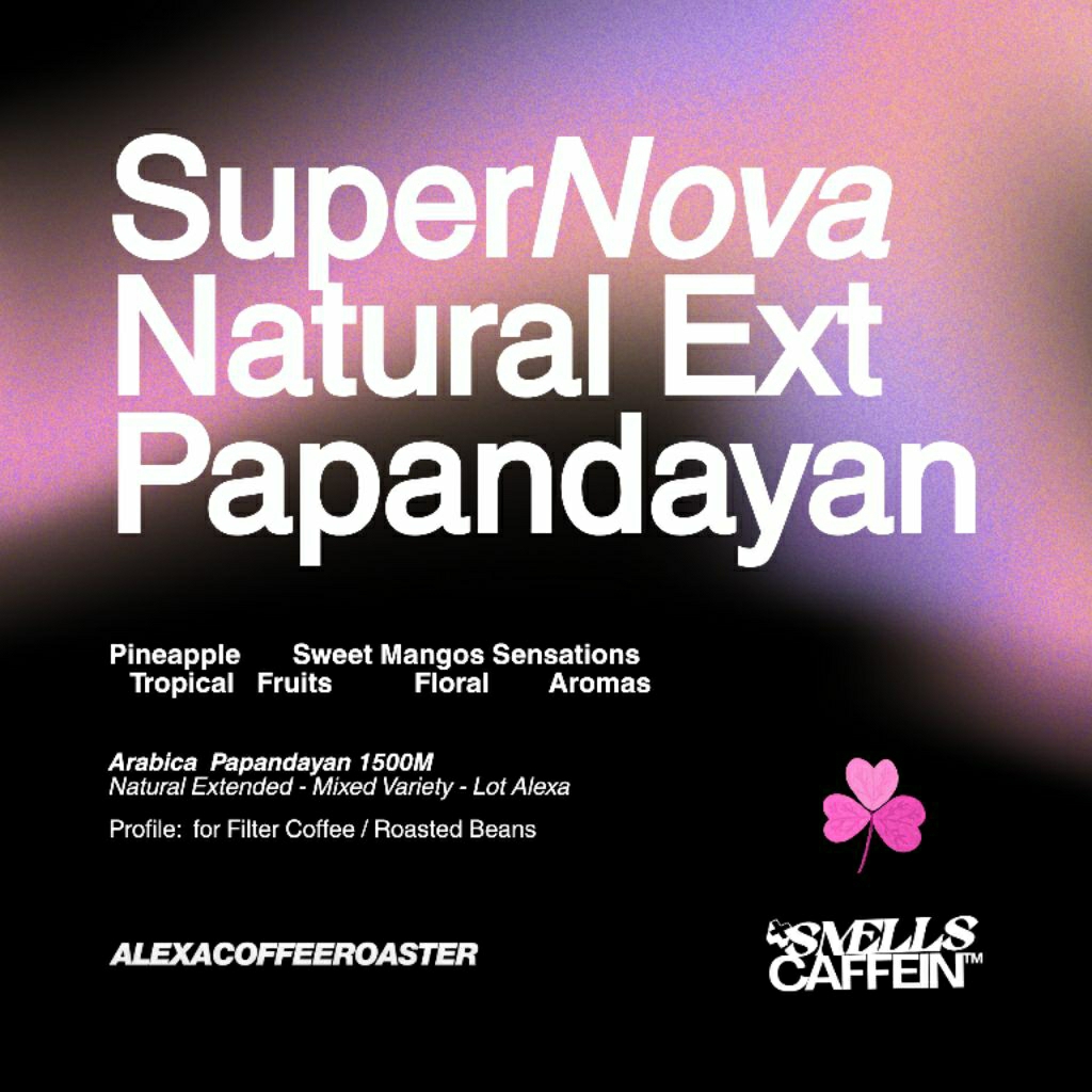 

Arabica SuperNova Natural Extended Papandayan 200gr Kopi Biji Sangrai ALEXACOFFEEROASTERS