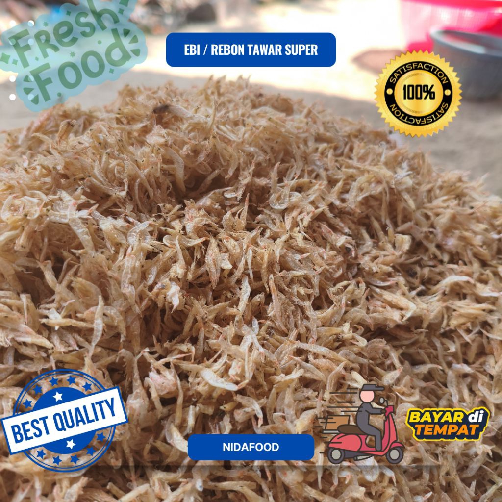 

Rebon tawar atau udang lembut super