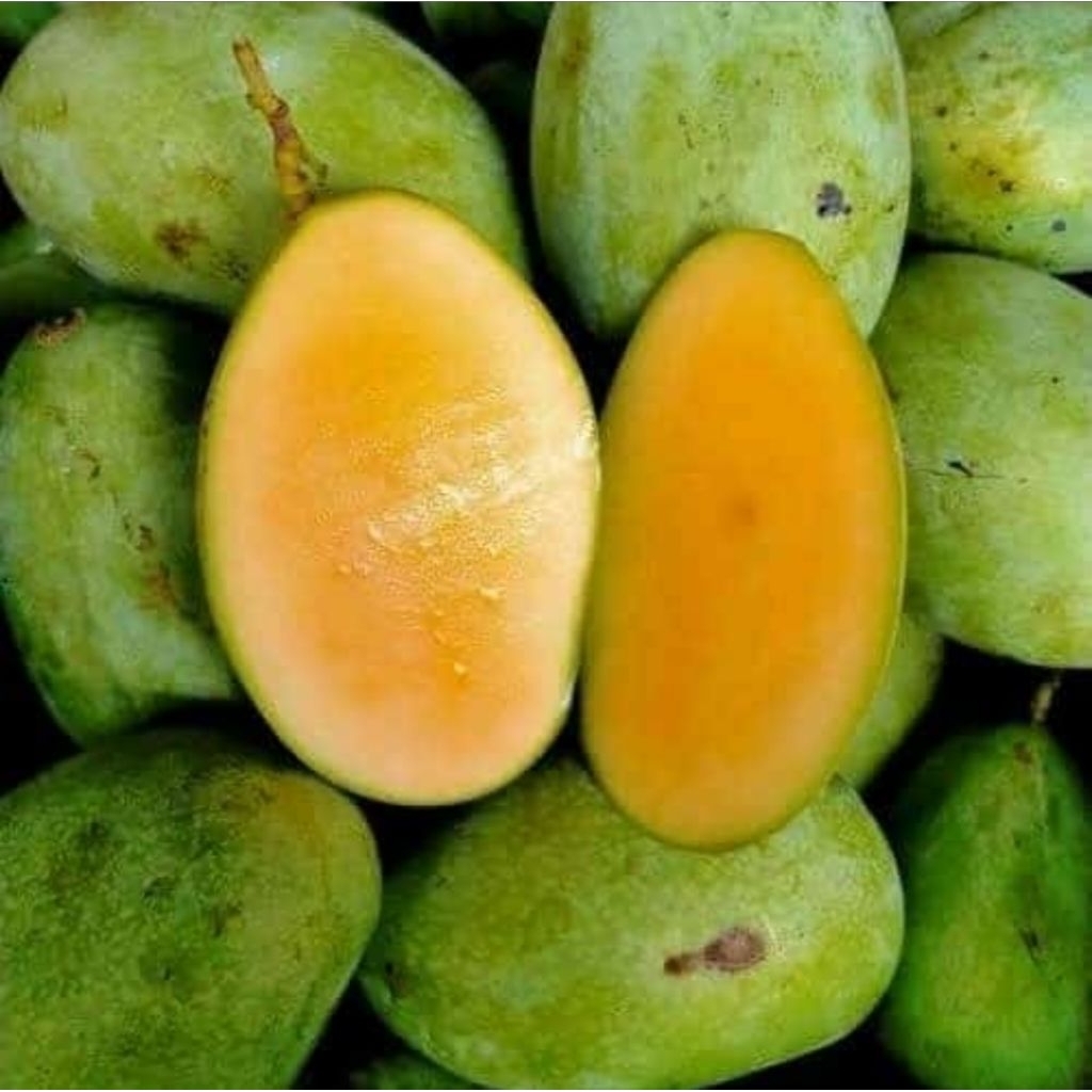 

MANGGA MADU MANALAGI 1kg