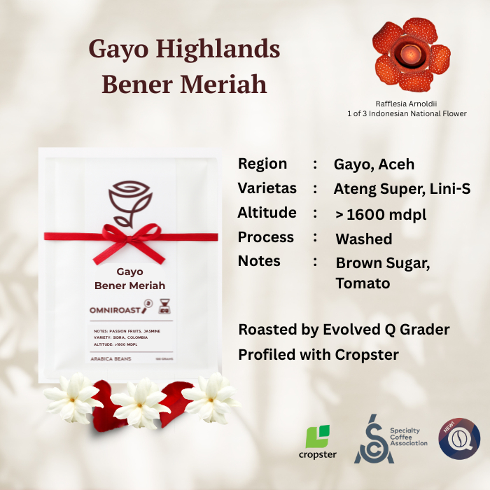 

Arabica Bener Meriah Gayo Full Washed coffee - Rosest Rosetery Single Origin Specialty