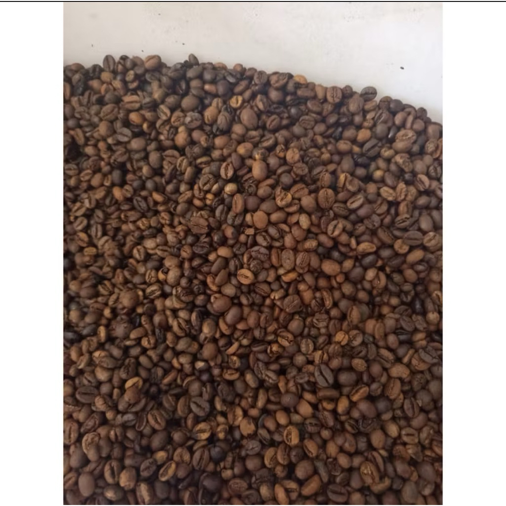 

Bean Kopi Robusta Bogor asli 500gr-Kopi Robusta Mentah-Biji Kopi Pilihan.