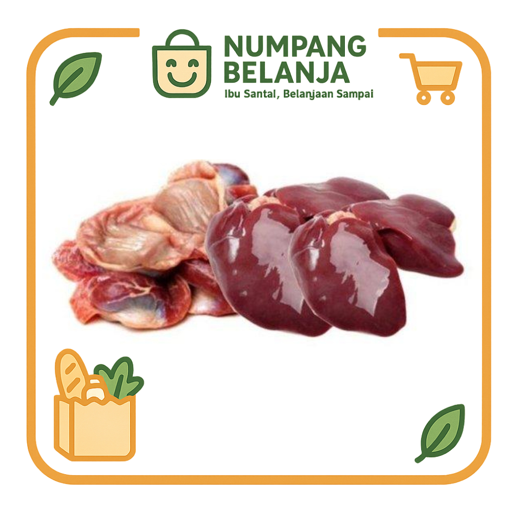 

ati ampela ayam fresh [500g]