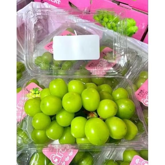 

Anggur Shine Muscat 500grx10pack