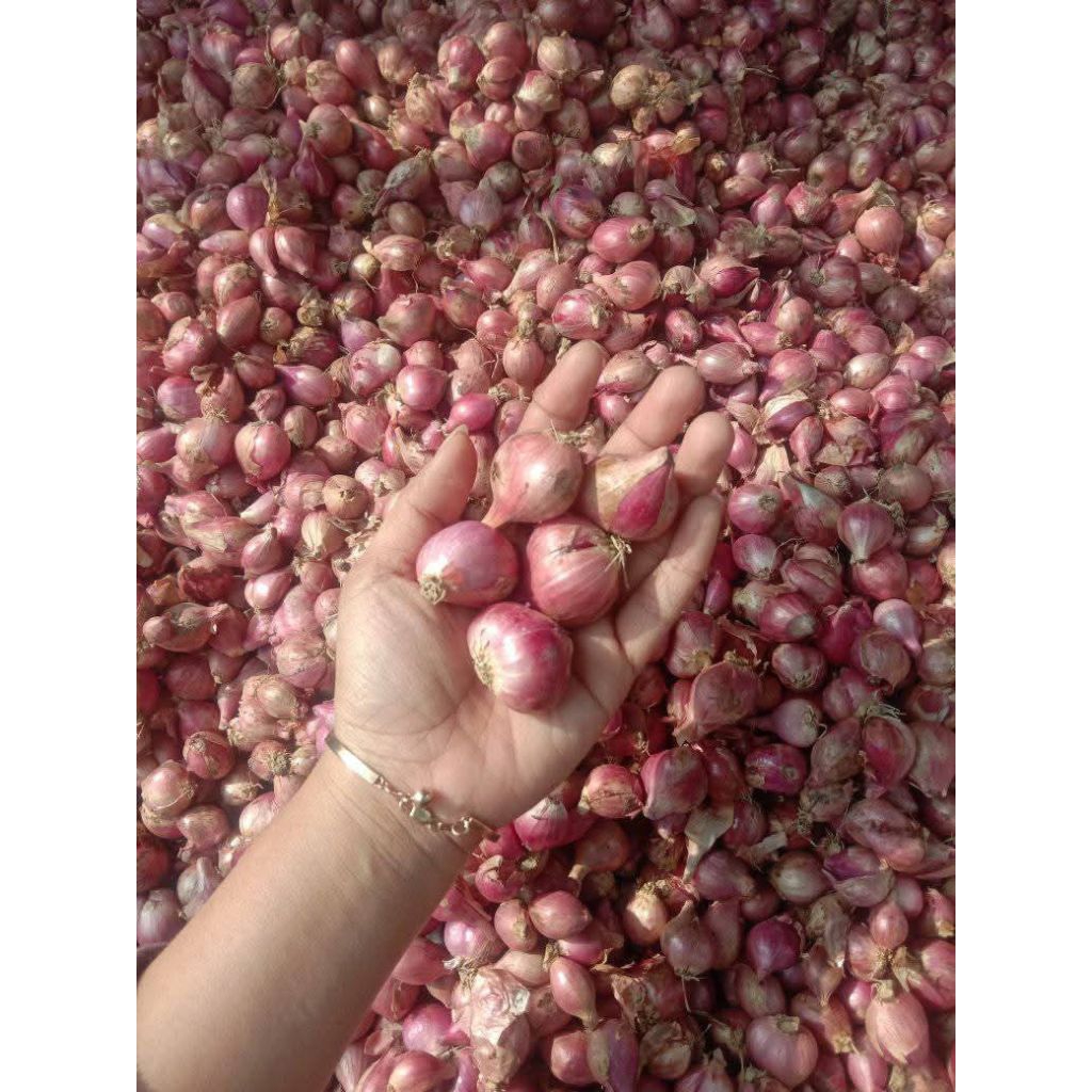 

BAWANG MERAH BAMER BUMBU DAPUR