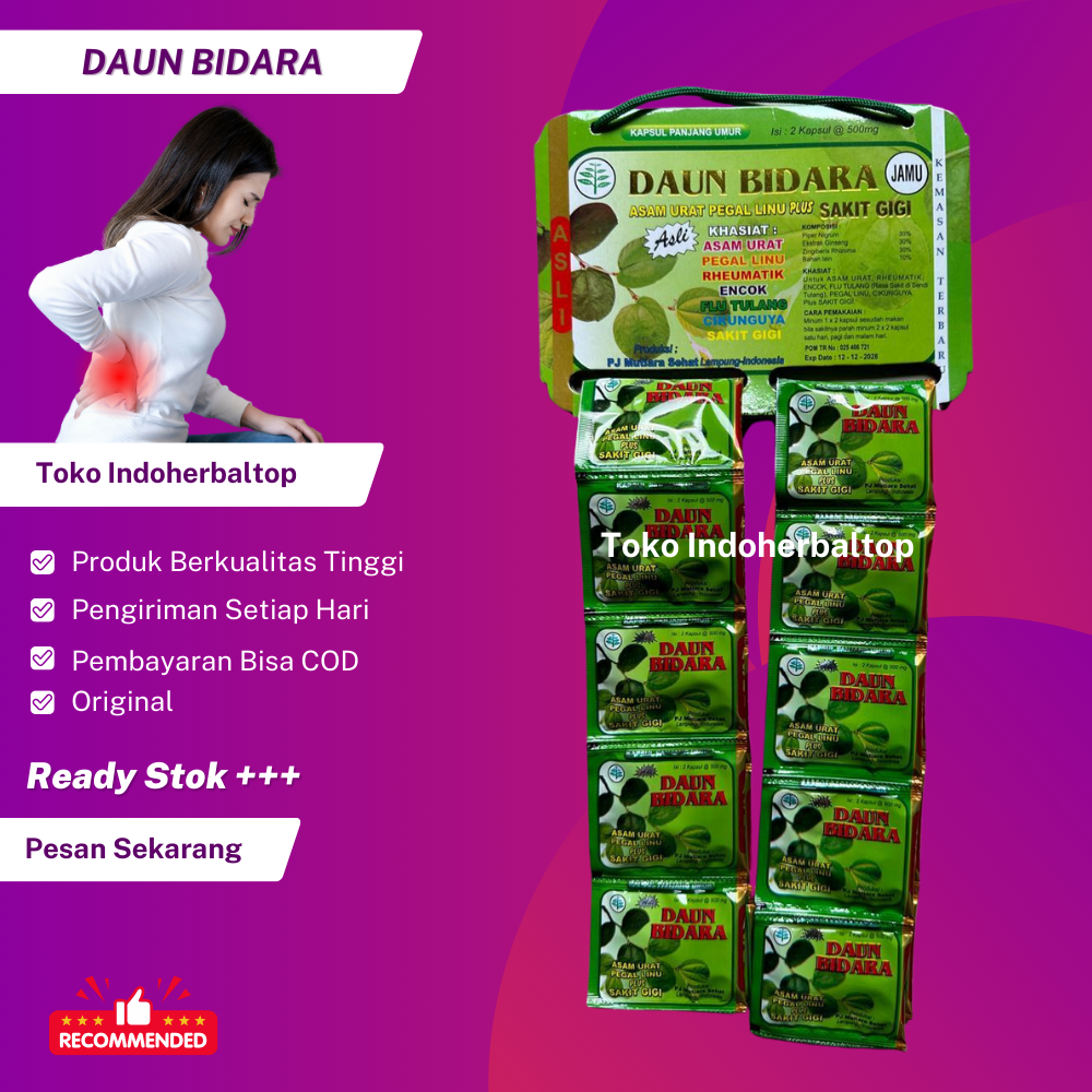 

Kapsul Asam Urat Daun Bidara Original 100%
