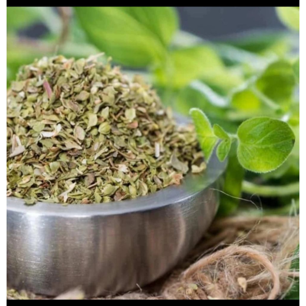 

Daun Oregano 500 Gram Kualitas Premium