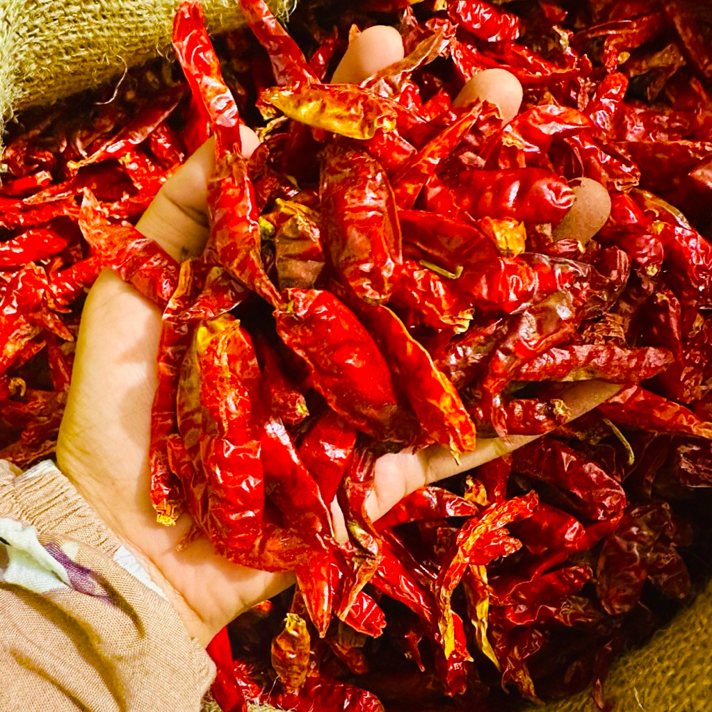 

Cabai Cabe Merah Teja Petik Grade A Murah 250gr 500gr 1kg