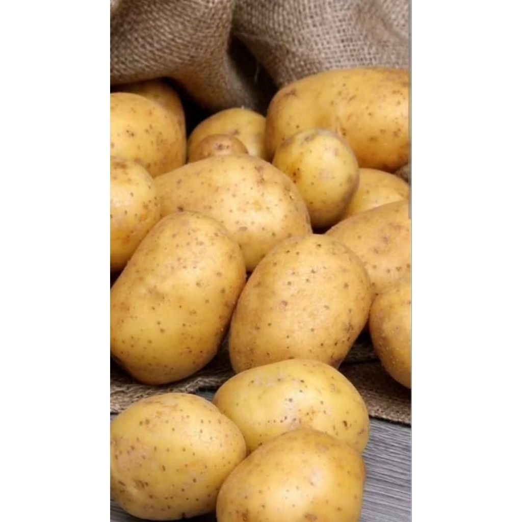 

Kentang Isi 1kg paket / sayuran kentang