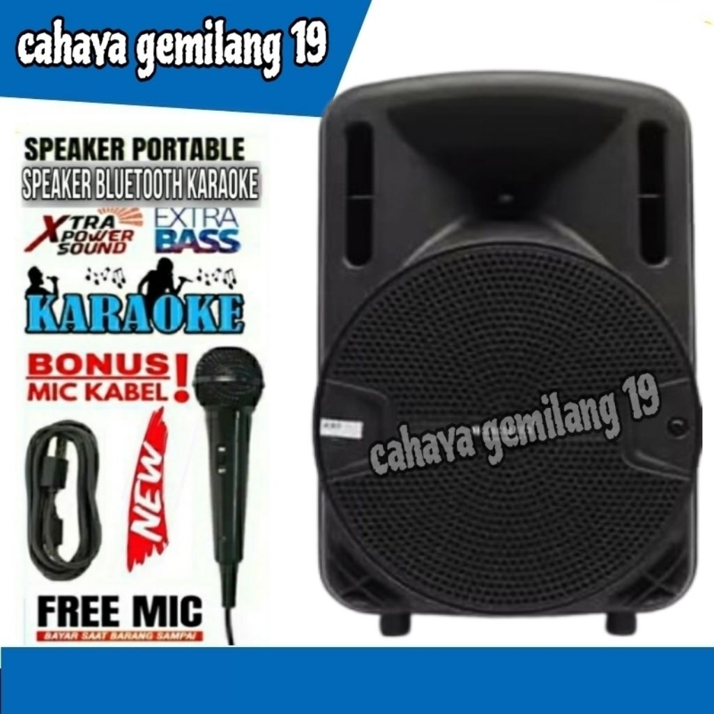 Speaker Karaoke Bluetooth Portable Full Bass Bonus Mic Ukuran Besar Salon Aktif Jumbo