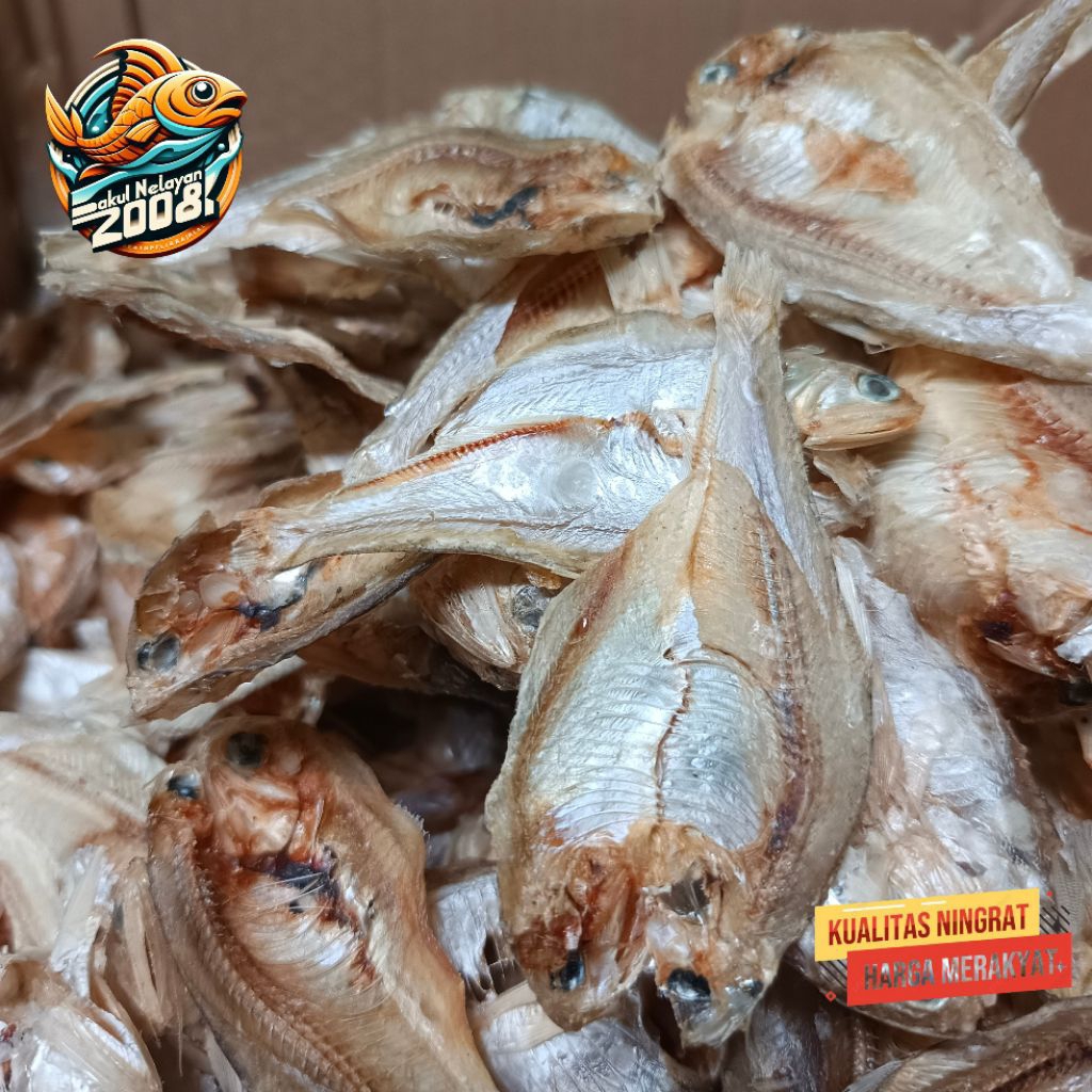 

Ikan Bilis | ikan tawar