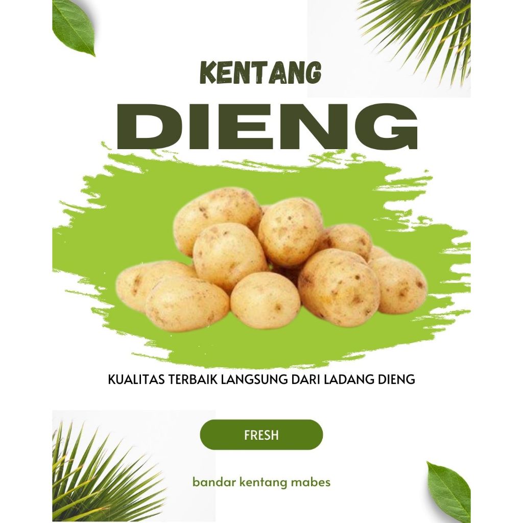 

( 1KG ) KENTANG DIENG UKURAN KECIL FRESH DAN PREMIUM KUALITAS TERBAIK