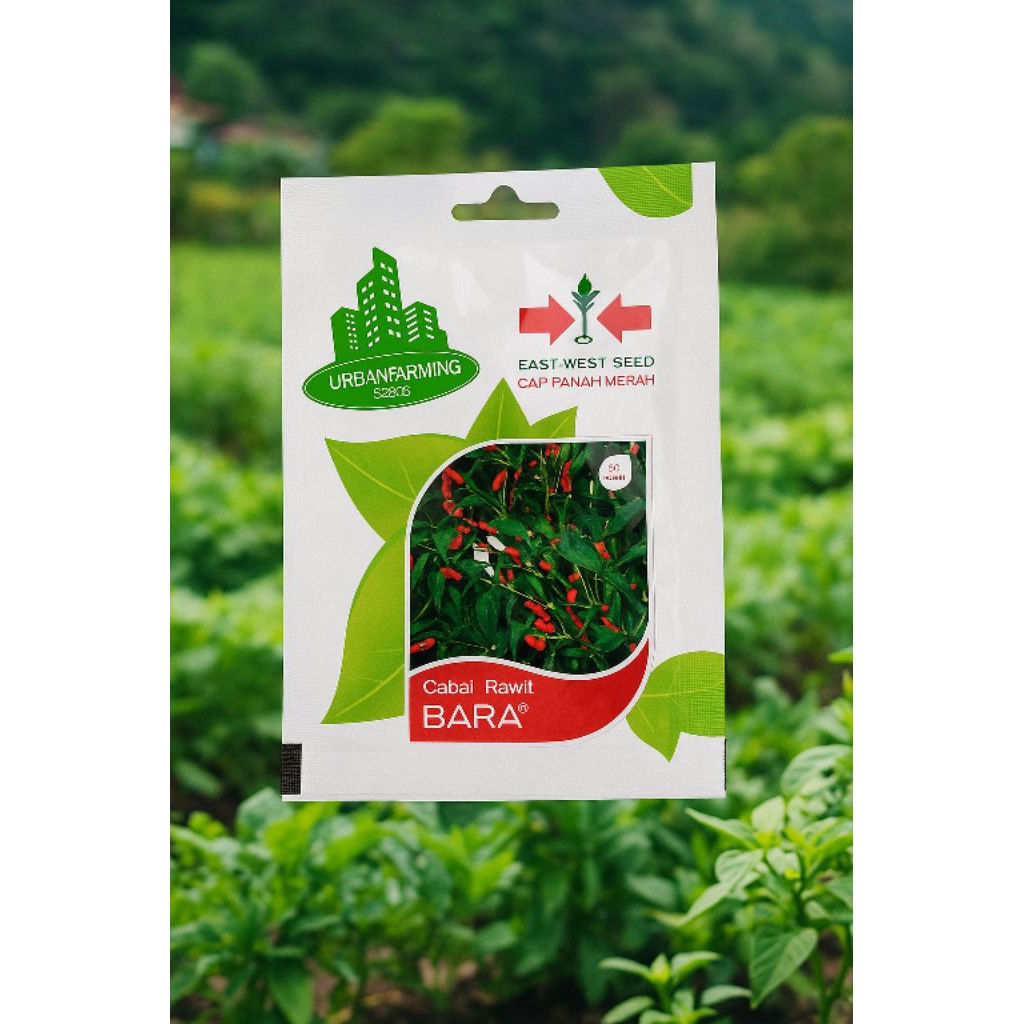 

Panah Merah Cabai Rawit Bara