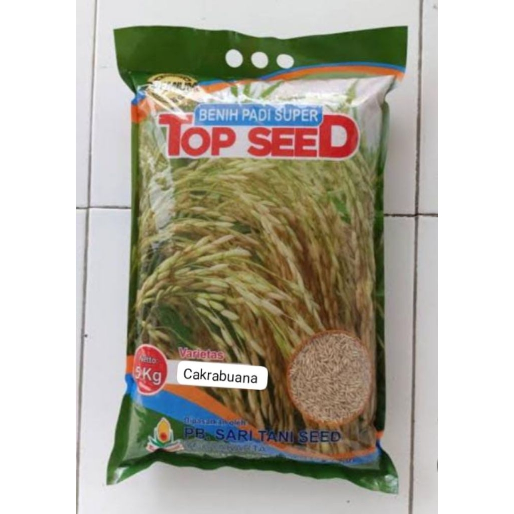 Benih Padi CAKRABUANA Jumbo Super Premium Umur Genjah 5 Kg