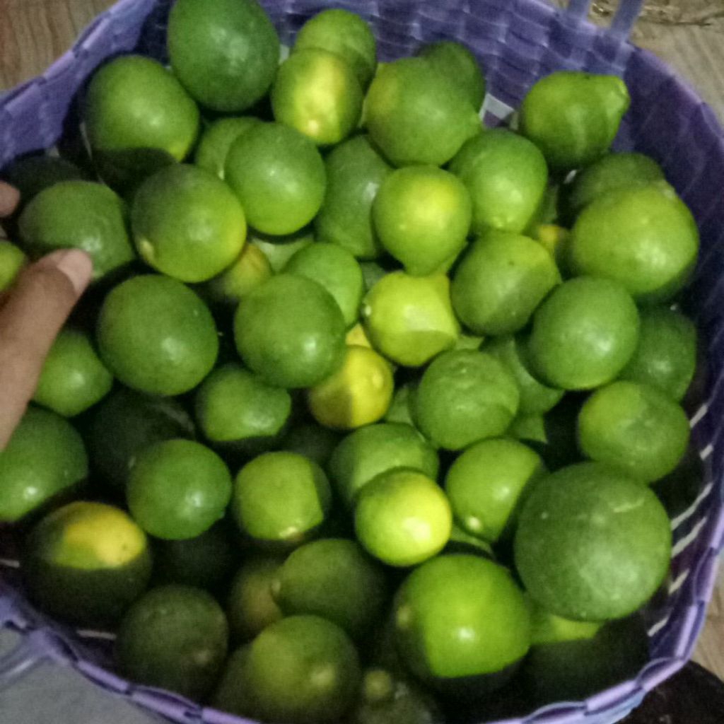 

JERUK NIPIS BLITAR murah 500 gram. agak telat panen