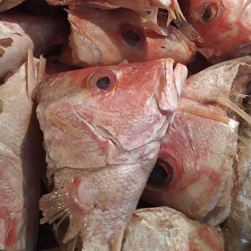 

KEPALA IKAN KAKAP SEGAR 1 kg