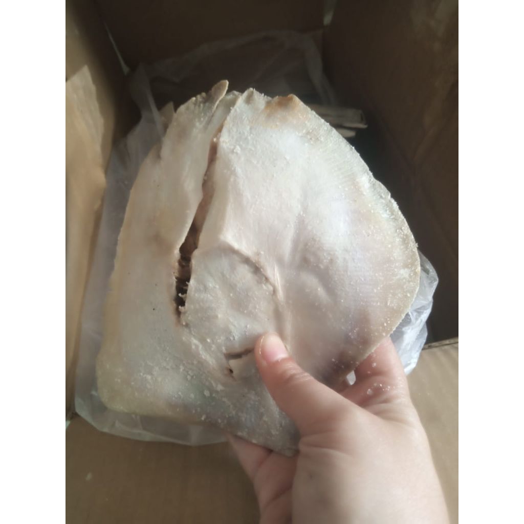 

ikan asin pari lalay grade A fress 1kg